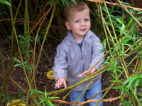 Lighthouse Nursery Issac in a Willow Tunnel